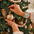 variant:Christmas 1