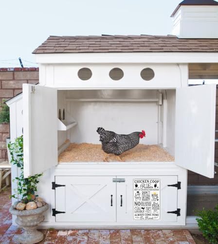 variant:‌Chicken Coop Rules