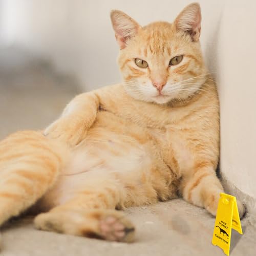 variant:Cat Vomit Sign