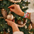 variant:Christmas 2