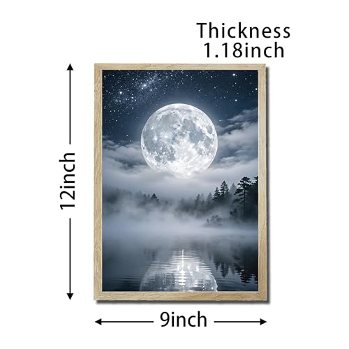 variant:Misty Forest Starry-Sky