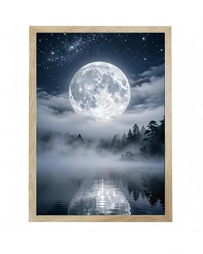 variant:Misty Forest Starry-Sky