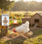 variant:Chicken Game