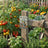 variant:Need All These Plants