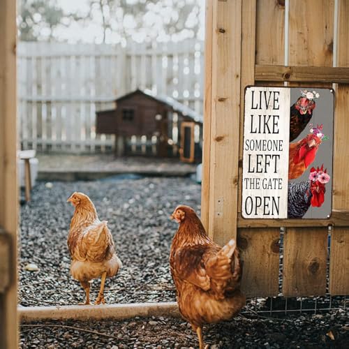 variant:Chicken