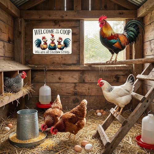 variant:Welcome To Our Coop