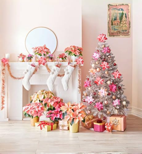 variant:Pink Christmas Church