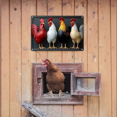 variant:chicken-4