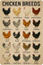 variant:Chicken Breeds