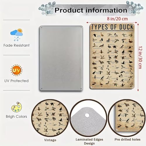variant:Types of Duck