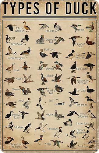 variant:Types of Duck