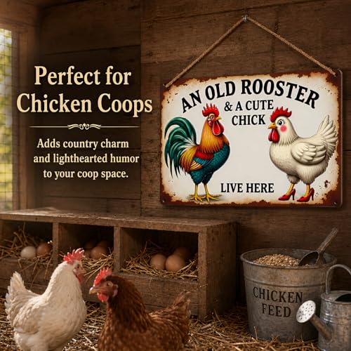 variant:chicken-13