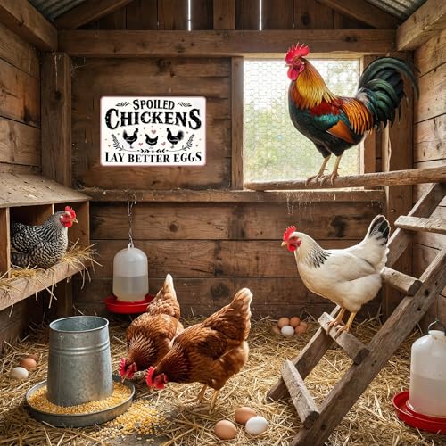 variant:Spoiled Chicken