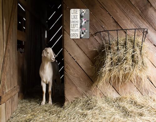 variant:Goat
