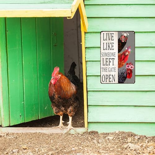 variant:Chicken