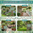 variant:Garden Rules
