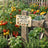 variant:Need More Plants