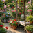 variant:Need All These Plants