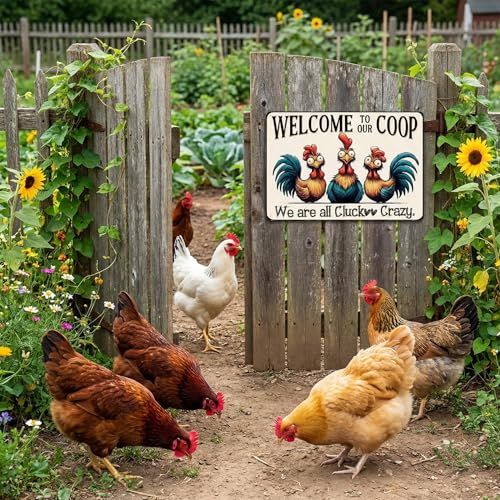 variant:Welcome To Our Coop