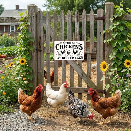 variant:Spoiled Chicken