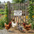 variant:Spoiled Chicken